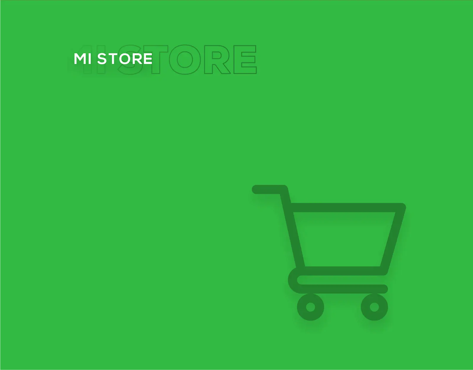 MI Store